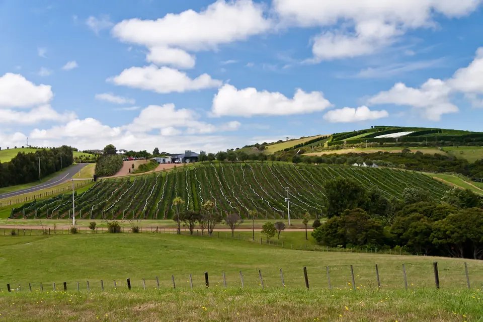 Waiheke Island, Auckland