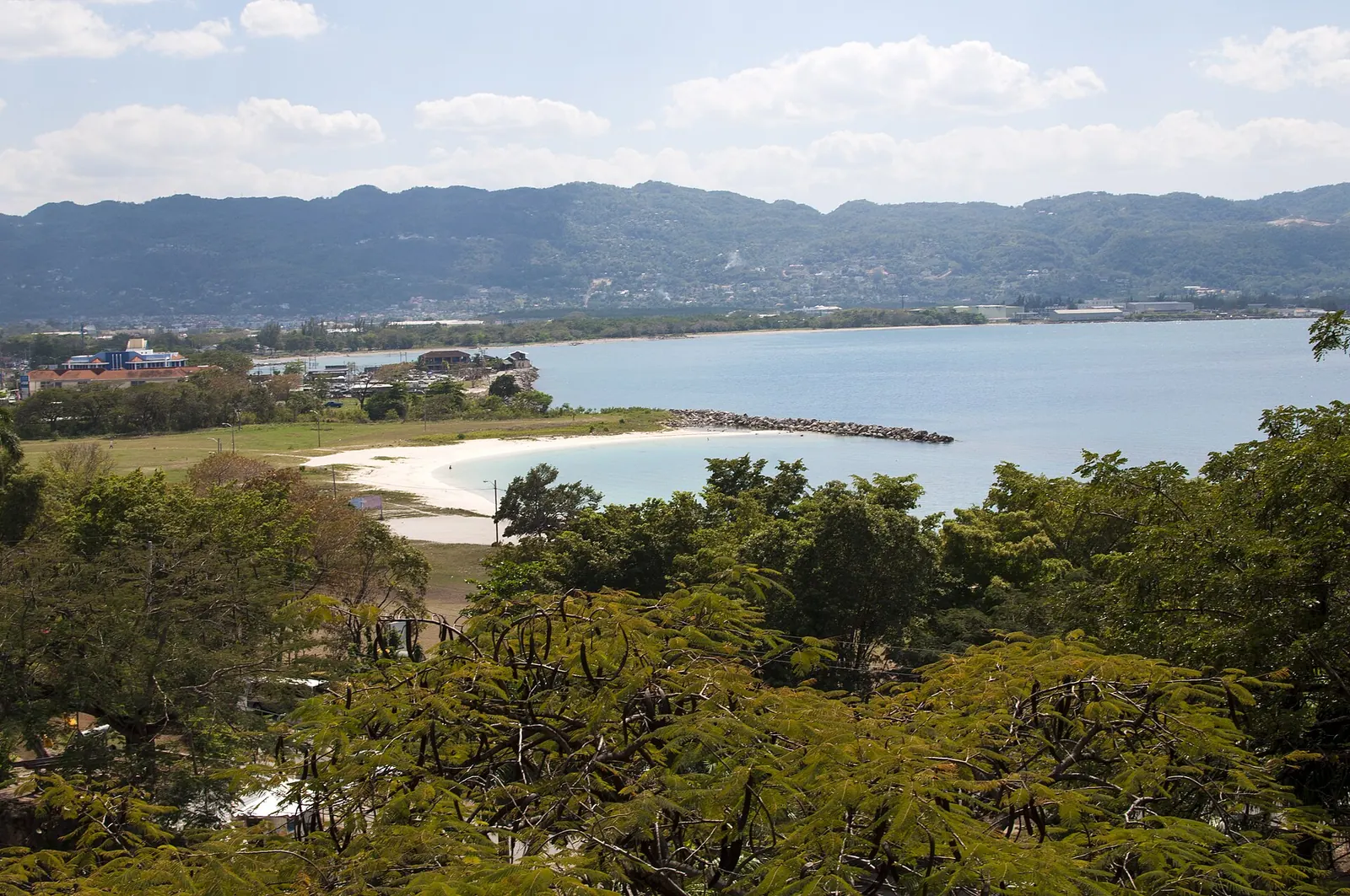 Vue sur la côte et les collines verdoyantes de Montego Bay, en Jamaïque