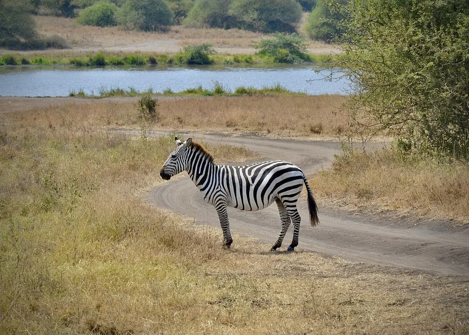 Nairobi National Park, Nairobi