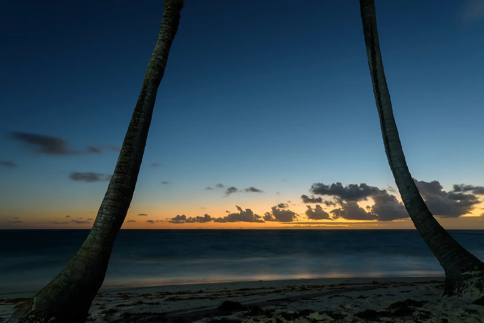 Palm trees silhouetted against sunrise over Bávaro beach near Punta Cana