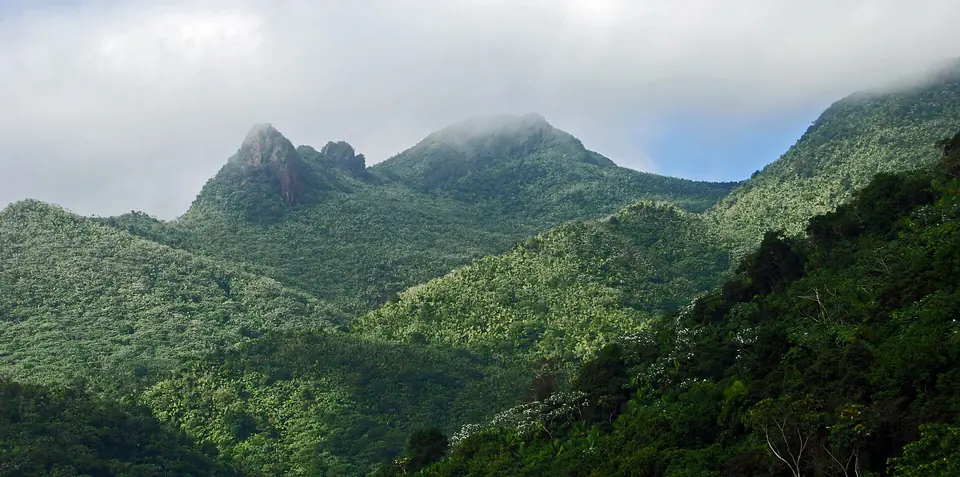 El Yunque National Forest, San Juan