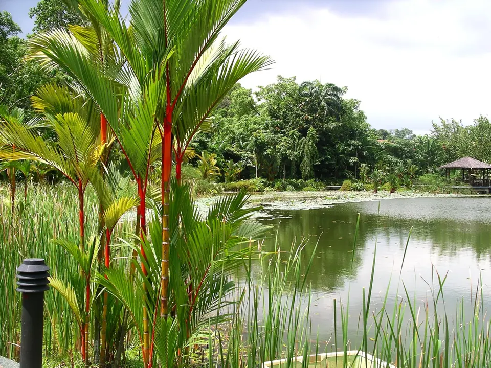 Singapore Botanic Gardens, Singapore