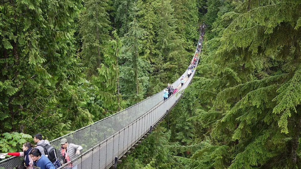 Pont suspendu de Capilano, Vancouver