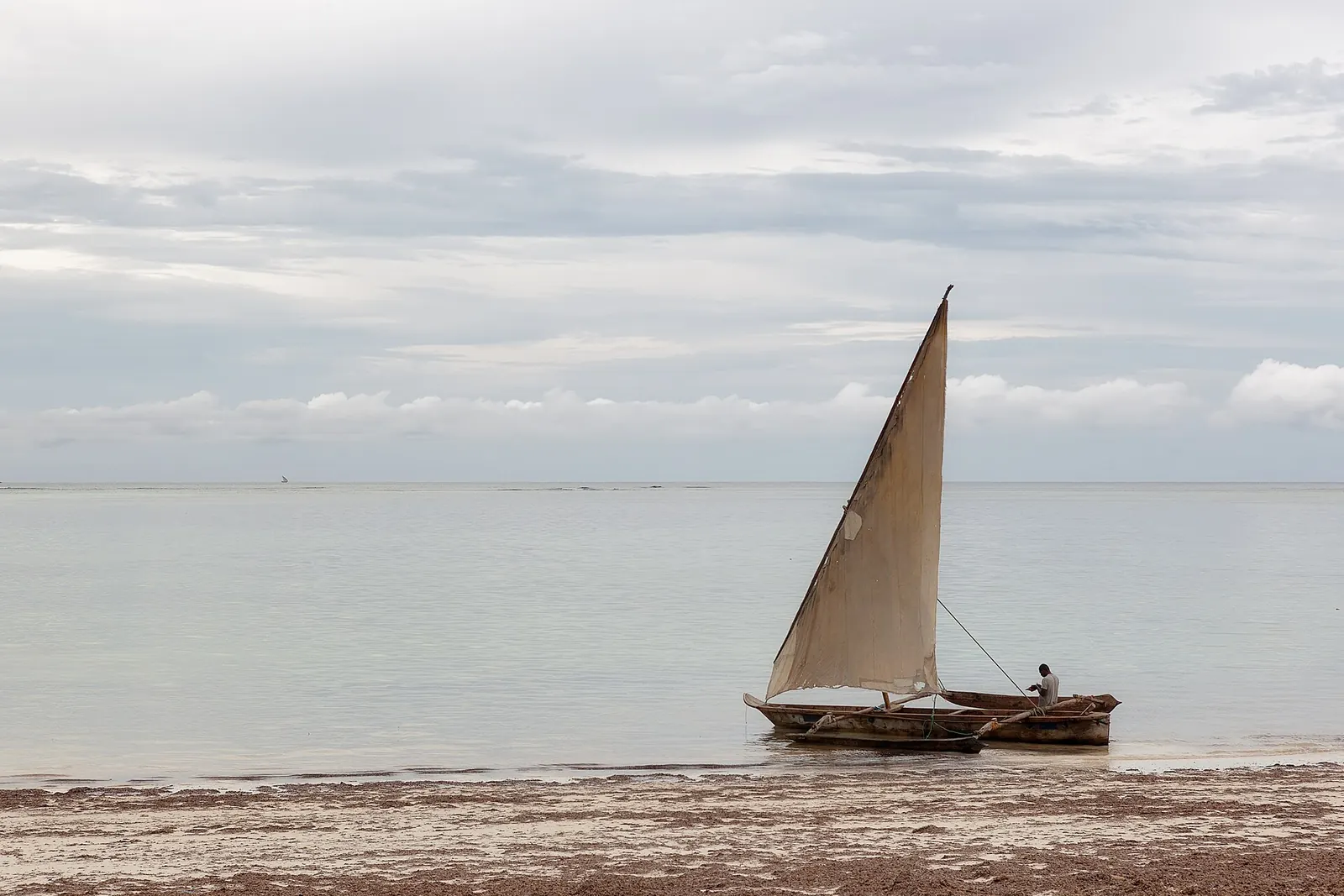 A wooden dhow sailing off the coast of Zanzibar